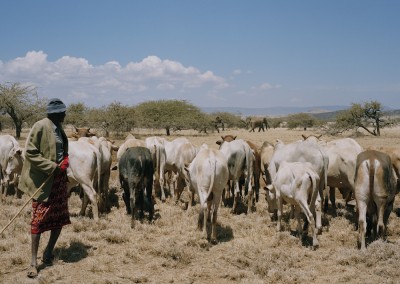 DC 188.52 001 ivestock and wildlife, lewa conservancy, northern kenya-from the series 'with butterflies and warriors'-David Chancellor/INSTITUTE