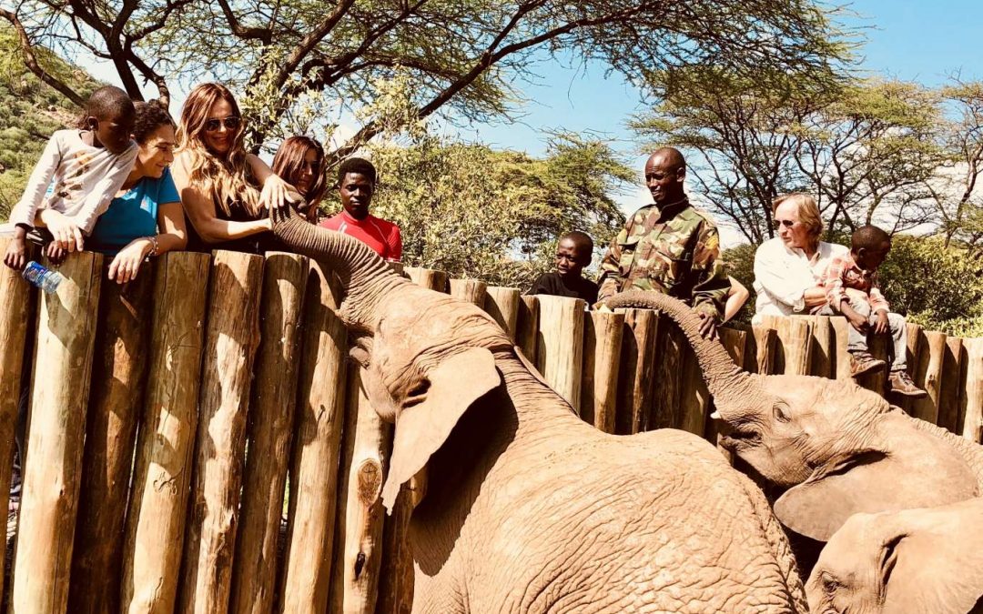 Orphans 4 Orphans: New Hope – AINA and Reteti Elephant Sanctuary