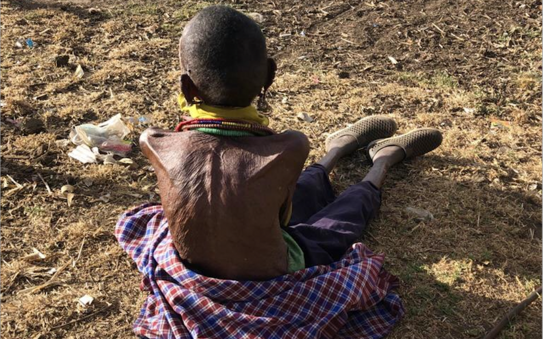 Feeding Samburu