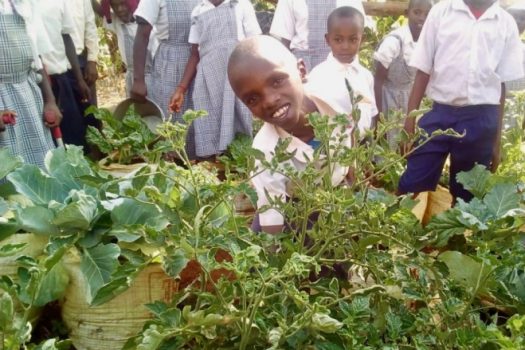 Group 116